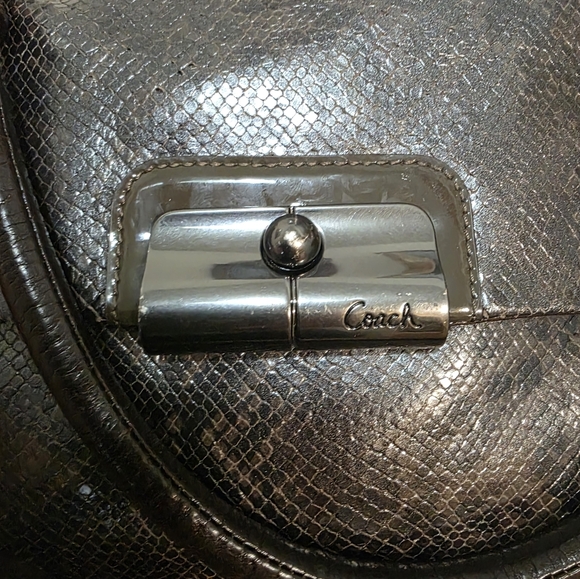 Coach Kristin Python Embossed North/South Tote Bag,with Gunmetal Hardware - Picture 7 of 16